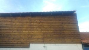 20161113_160729 (Medium)